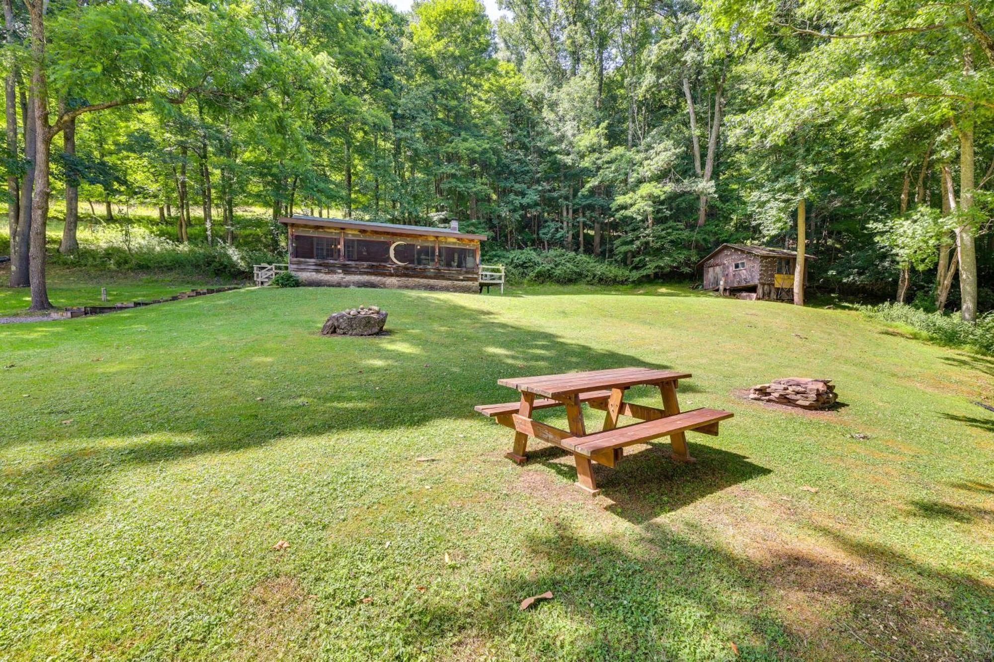 Charming Parsons Cabin With Grill On The Cheat River Ngoại thất bức ảnh